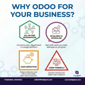 Odoo ERP Service